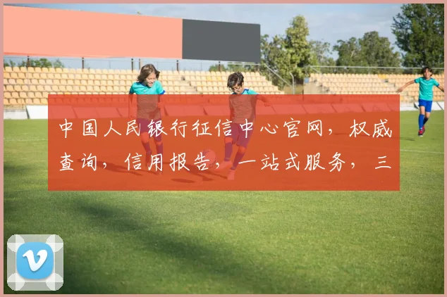 中国人民银行征信中心官网，权威查询，信用报告，一站式服务，三步轻松获取