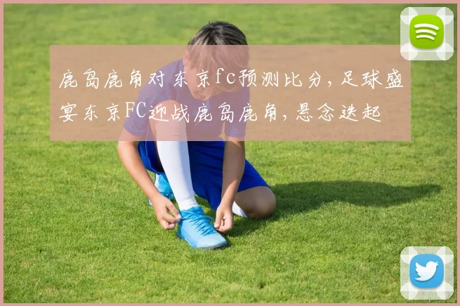 鹿岛鹿角对东京fc预测比分,足球盛宴东京FC迎战鹿岛鹿角,悬念迭起