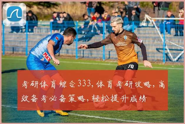 考研体育综合333,体育考研攻略,高效备考必备策略,轻松提升成绩